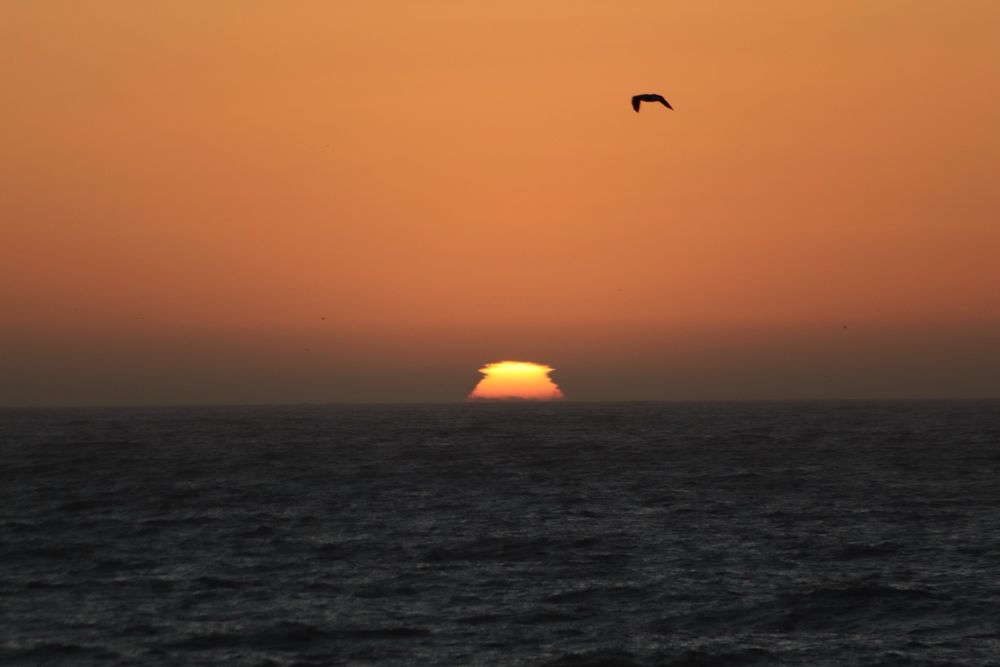 Point Reyes South Beach
