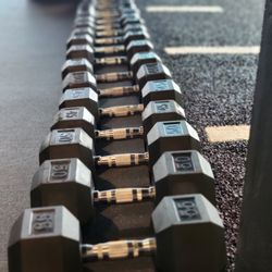 Elite Fitness Studio - Our dumbbells go from 5lbs to 100lbs, accommodating all fitness level.