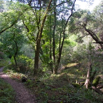 Hidden Villa - Community Service/Non-Profit Near Me - Los Altos Hills, California