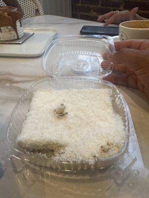 By Zena European Specialty Bakery & Cafe by null