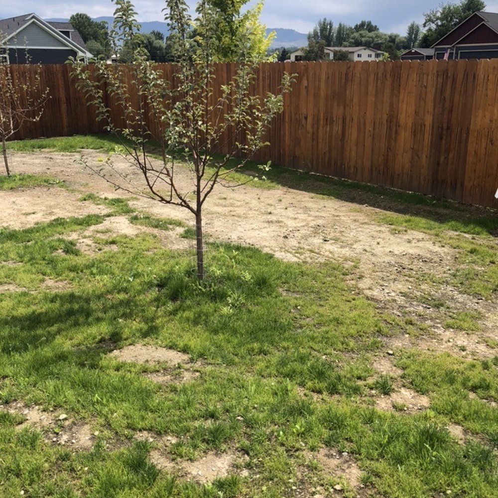 Vern's Landscape - Back yard - Landscaping Near Me - Hamilton, Montana