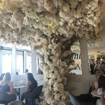 Brew and Bloom - Interior - Themed Cafes Near Me - Edmonton, Alberta Brew and Bloom - Interior - Themed Cafes Near Me - Edmonton, Alberta