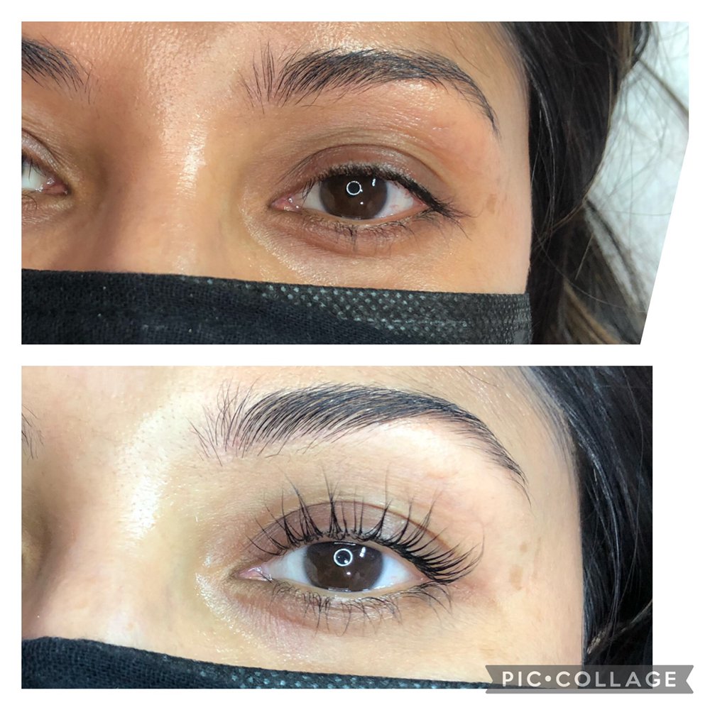 Dainty Lashes Logo