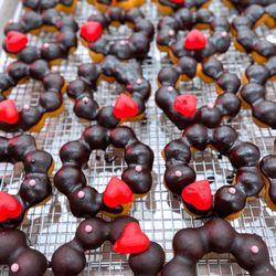 Mochinut - Wesley Chapel - Mochi donuts