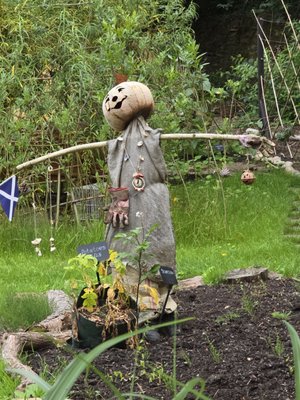 Royal Botanic Garden Edinburgh by null