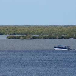 Everglades Day Safari - Everglades National Park Boat Tour