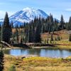 Naches Peak Loop Trail gift card