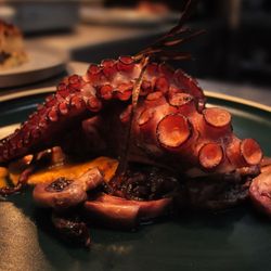 Cooltour Oporto - Octopus dish, Fado Dinner Show and Night Tour