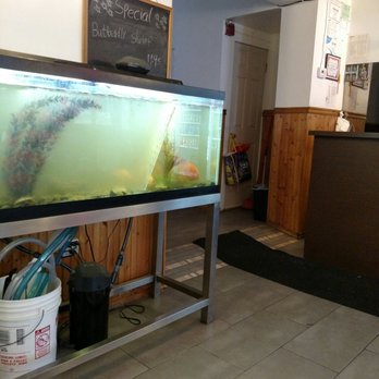 A Happy Family - a fish tank in a restaurant - Chinese Near Me - Trenton, New Jersey A Happy Family - a fish tank in a restaurant - Chinese Near Me - Trenton, New Jersey