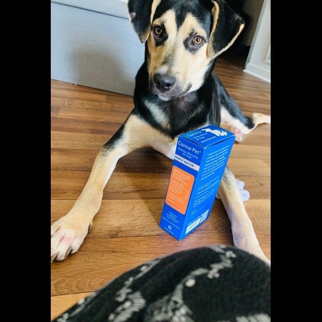 THE PET SHOP OF FONDREN Updated September 2024 2947 Old Canton Rd