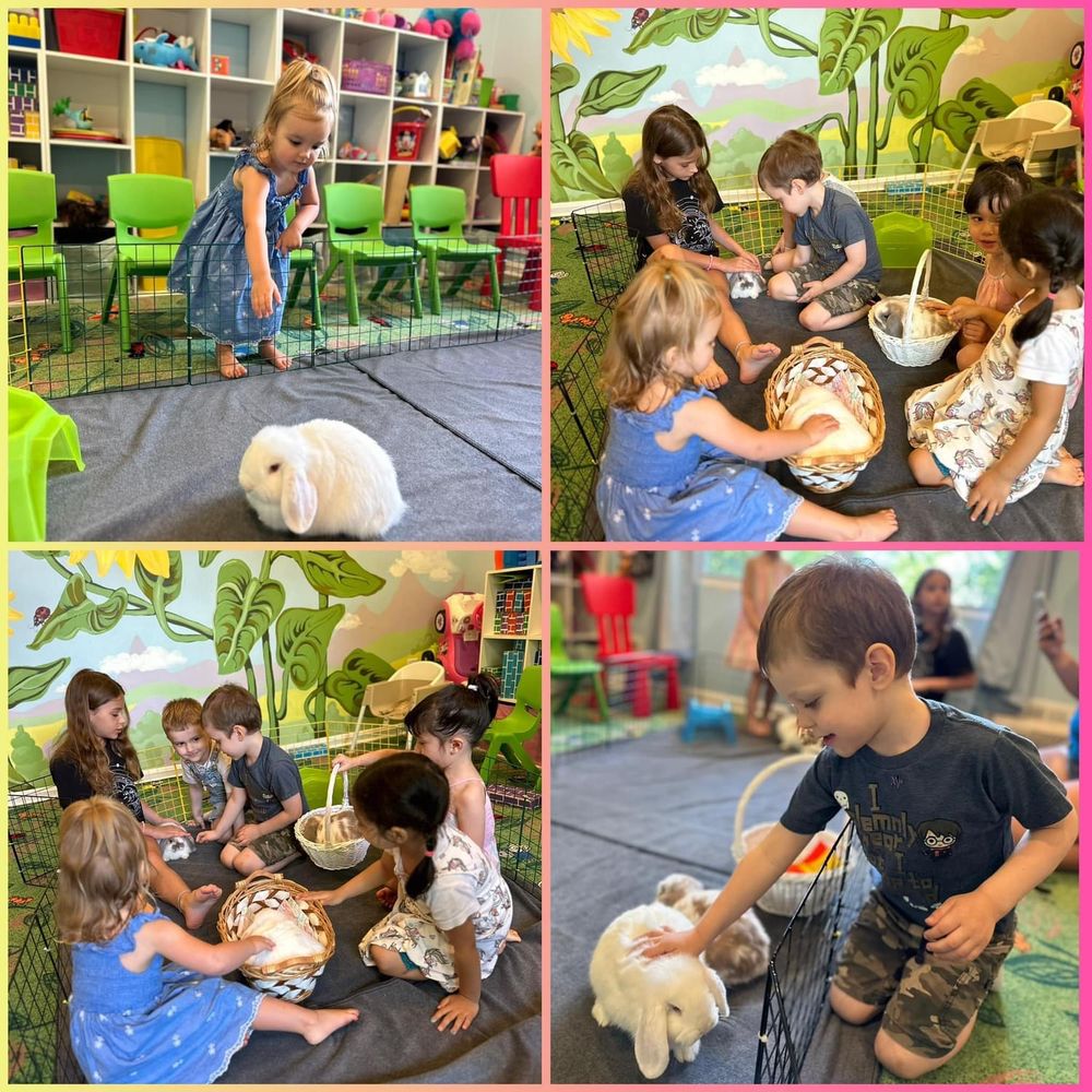 Sunflower Child Daycare - childcare center in Germantown, MD