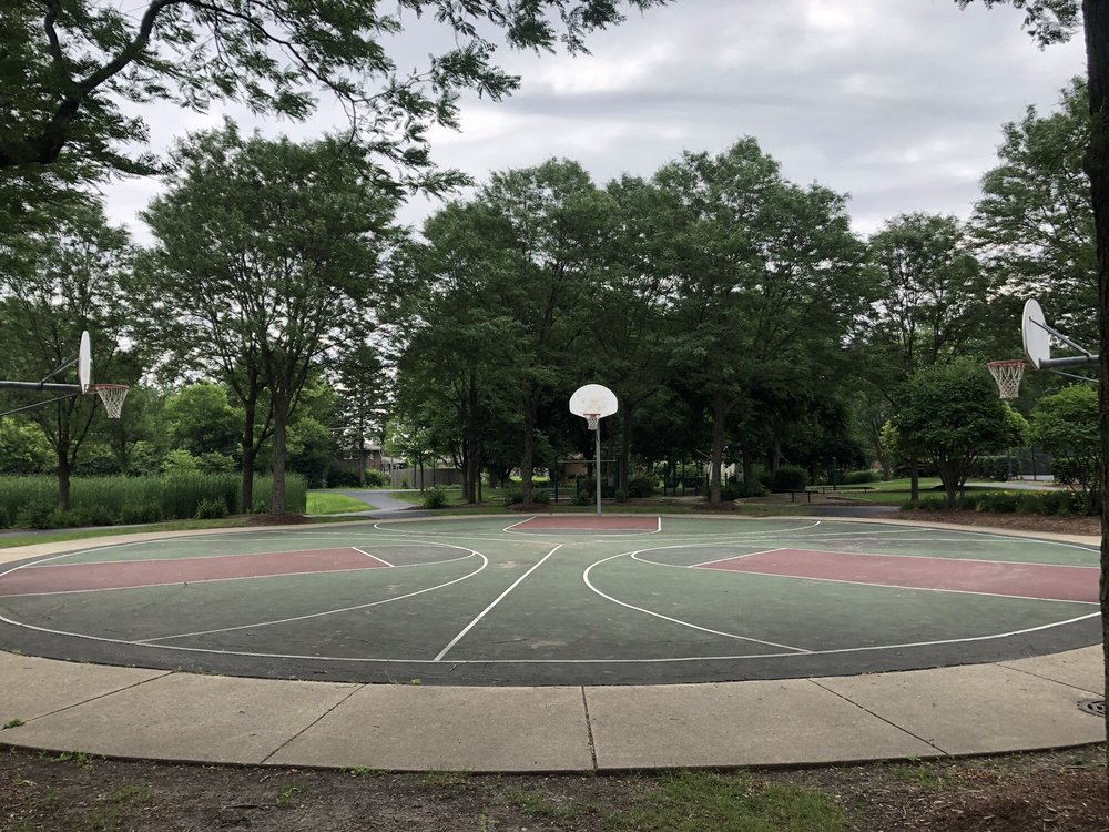Countryside Park Image