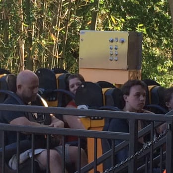 Cheetah Hunt - Amusement Parks Near Me - Tampa, Florida