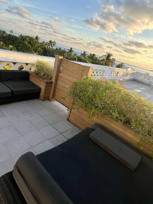 Hotel Breakwater South Beach by null