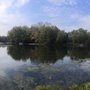 Photo of Ravenswood Overlook Park