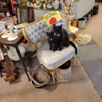 Norton Antique Mall - Come check out our baby boys Blackjack and Onyx - Antiques Near Me - Norton, Ohio Norton Antique Mall - Come check out our baby boys Blackjack and Onyx - Antiques Near Me - Norton, Ohio