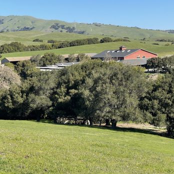 Arriba Vista Ranch - Horse Boarding Near Me - Sunol, California