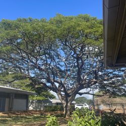 Waipahu Intermediate School