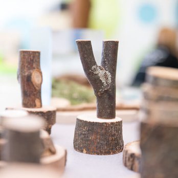 Rainforest Learning Centre Coquitlam - We love nature themed activities at our daycare and child care centres. - Child Care & Day Care Near Me - Coquitlam, British Columbia