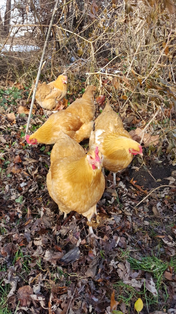 TORTUGA INN Updated October 2024 25 Photos & 10 Reviews 2142 N