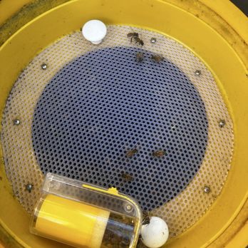 Bees In Boxes - Pest Control Near Me