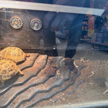 PetSmart - Pet Stores Near Me - Fairfax, Virginia PetSmart - Pet Stores Near Me - Fairfax, Virginia