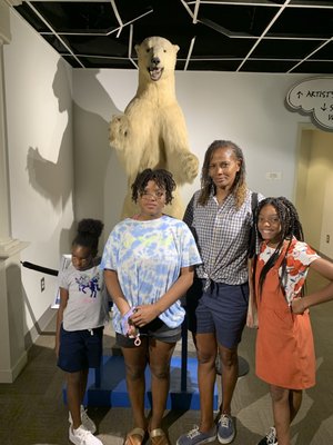 Museum of Arts and Sciences by null