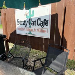 Stray Cat Chimmi Shack