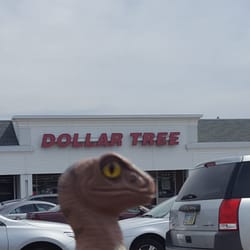 Dollar Tree - Bob the Raptor Says, "I see light posts but no trees."