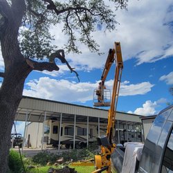 Monkey mike’s tree service