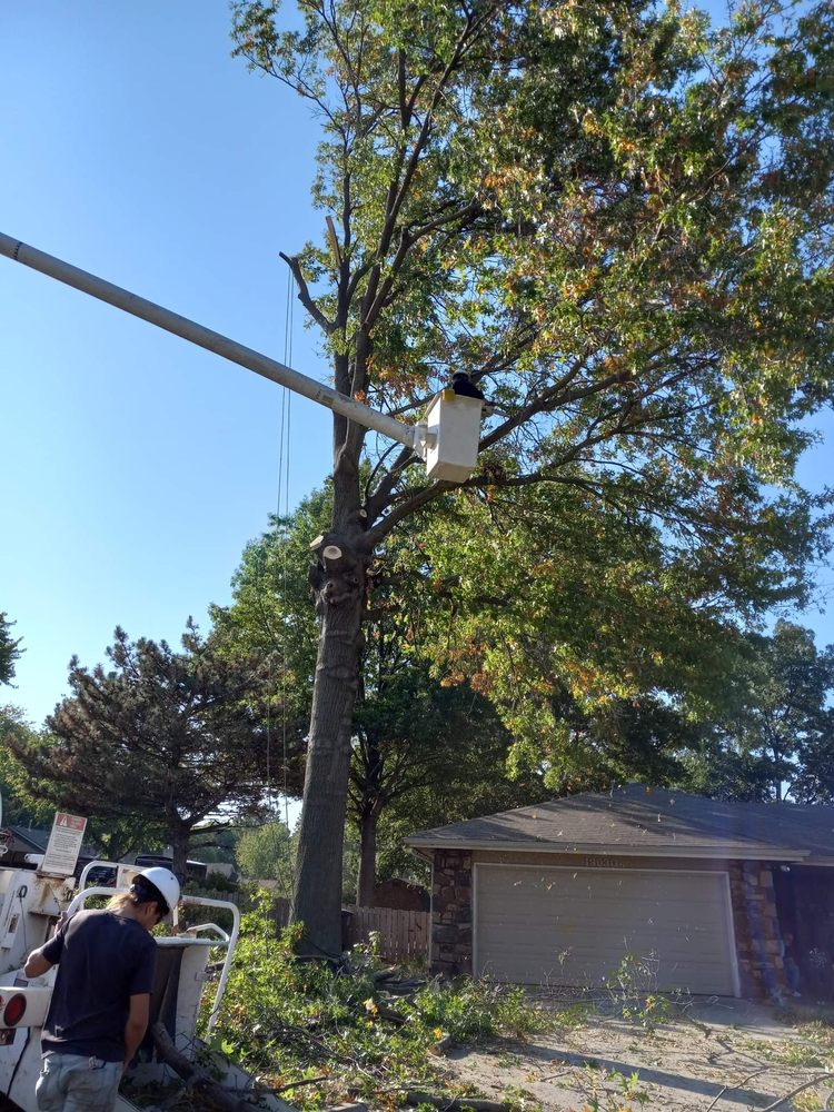 Hernandez Hauling And Junk Removal - tree service in Tulsa, OK