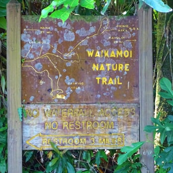 Waikamoi Trail - Hiking Near Me - Haiku, Hawaii Waikamoi Trail - Hiking Near Me - Haiku, Hawaii