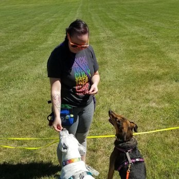 Rover Rehab Dog Training - Pet Training Near Me - Arlington, Massachusetts Rover Rehab Dog Training - Pet Training Near Me - Arlington, Massachusetts