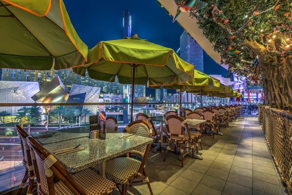 Rainforest Cafe by null