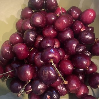 Fresh and Local Produce - Love the cherries!! - Farmers Market Near Me - Melissa, Texas