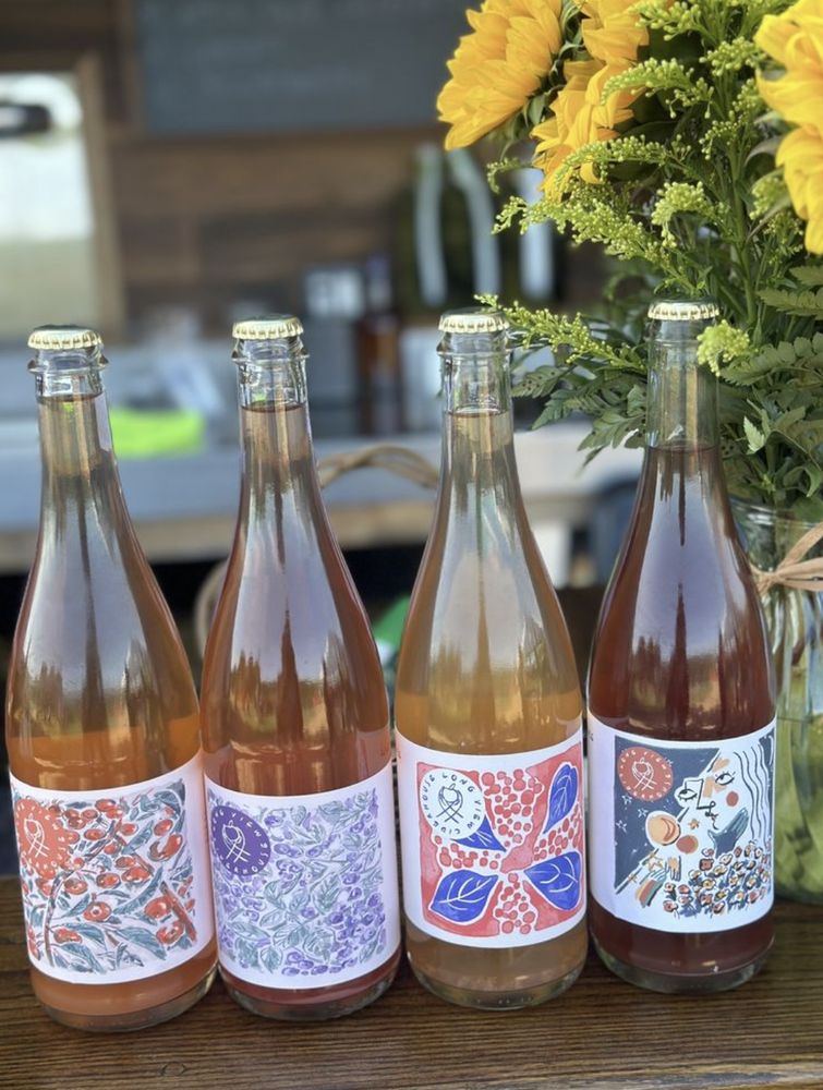 Long View Ciderhouse Orchard Bar Logo