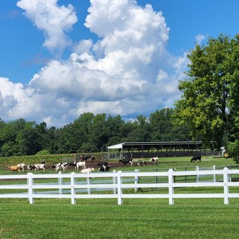 Vanderwende's - Ice Cream & Frozen Yogurt Near Me - Bridgeville, Delaware