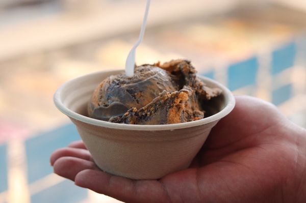 Wanderlust Creamery by null