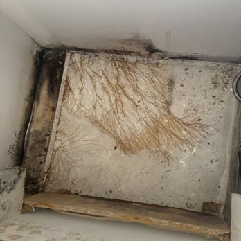 Triton Scott's Addition - Black mold behind cabinets due to 10 months water pipe leaking inside walls - Apartments Near Me - Richmond, Virginia