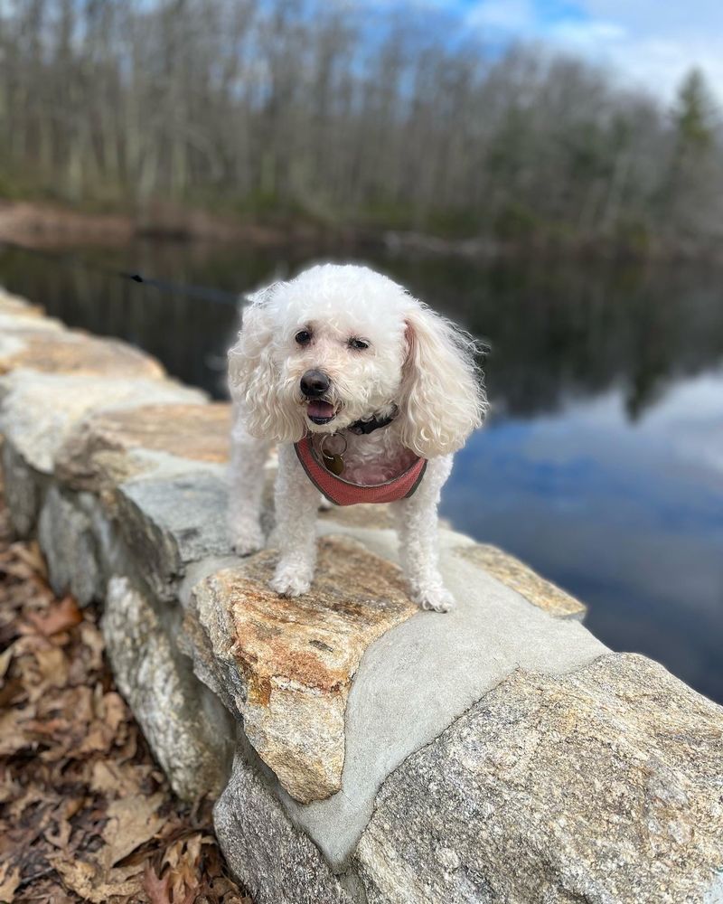 Moore State Park Image