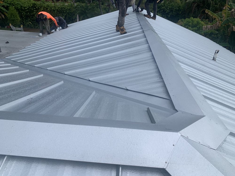 Slide of The Roof Wizard