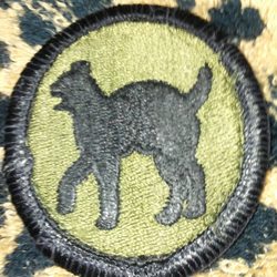 Jimmy John's - A wild cat from the 81st Airborne Division, U.S. Army
