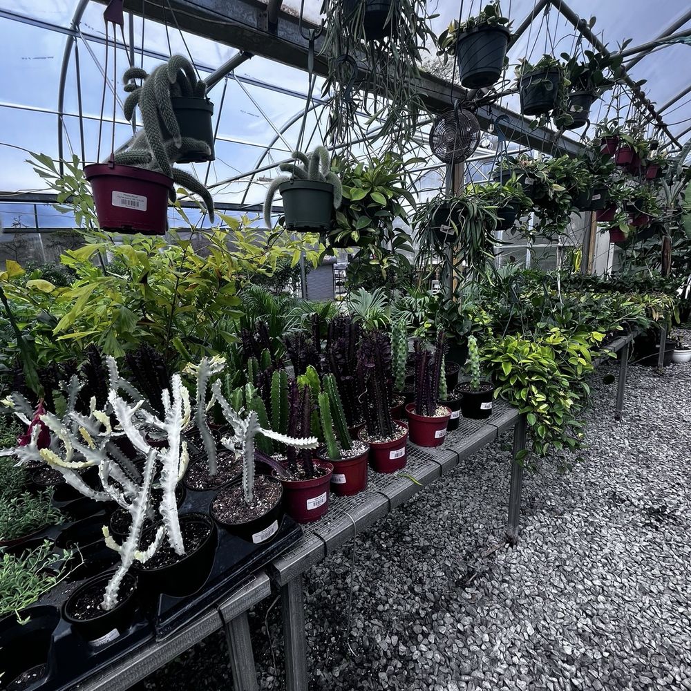 Plants Alive! - Nurseries & Gardening Near Me - Silver Spring, Maryland Plants Alive! - Nurseries & Gardening Near Me - Silver Spring, Maryland