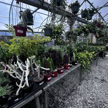 Plants Alive! - Nurseries & Gardening Near Me - Silver Spring, Maryland