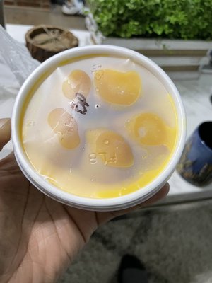 Bailey & Cato by null