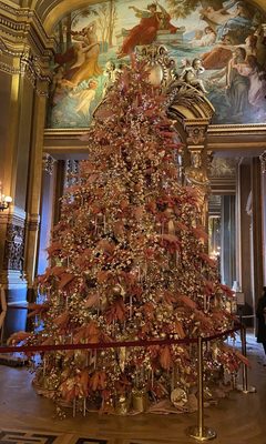 Palais Garnier by null