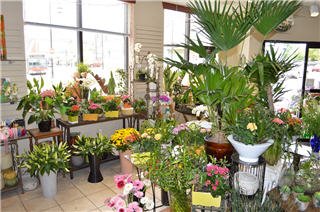 Vernon Flower Shop by null