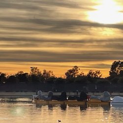 Hansen Dam Recreational Center - I call this 'On Golden Swan'.