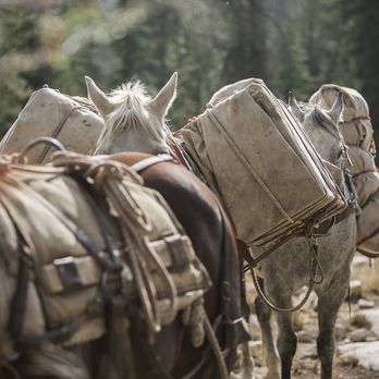 Mystic Saddle Ranch - Mystic Saddle Ranch offers a variety of quality packing services from fully catered trips to drop camps. - Horseback Riding Near Me Mystic Saddle Ranch - Mystic Saddle Ranch offers a variety of quality packing services from fully catered trips to drop camps. - Horseback Riding Near Me