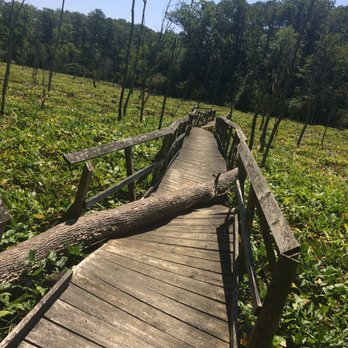 Calvert Cliffs State Park - Parks Near Me Calvert Cliffs State Park - Parks Near Me